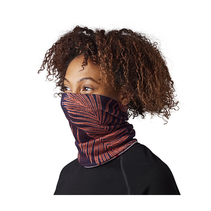 smartwool 250 neck gaiter