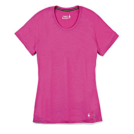 Women's Merino Short Sleeve Tee