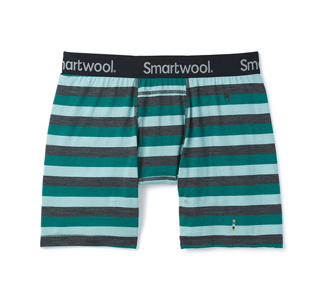 smartwool underwear